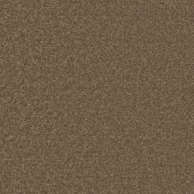 EcoSense Enchantment Luxe Carpet - Meadow Brown