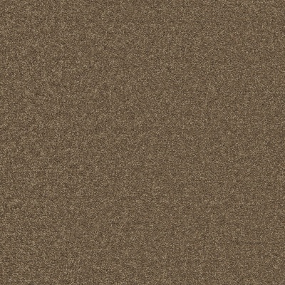 EcoSense Ecosense Enchantment Elite Carpet - Meadow Brown
