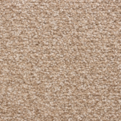 Everyroom Cedar Falls Twist Carpet