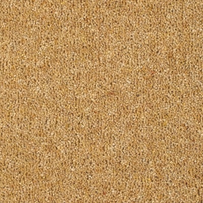 Everyroom Fairbourne 80/20 Twist Wool Carpet - Gold