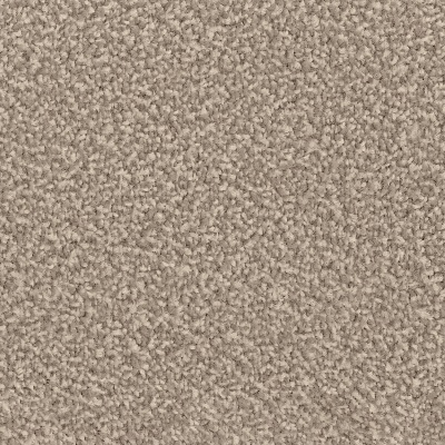 Everyroom Penmarsh Twist Carpet