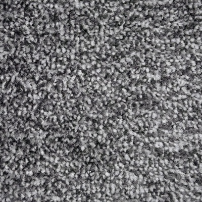 Everyroom Velocity Twist Budget Carpet - Platinum