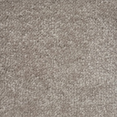 Everyroom Velocity Twist Budget Carpet - Truffle