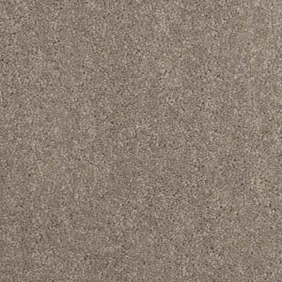 Everyroom Westdale Twist Carpet