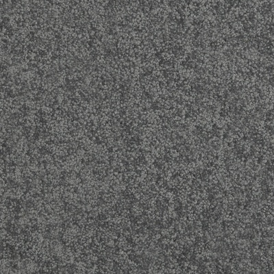 Everyroom Westdale Twist Carpet - Iron