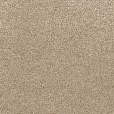 Everyroom Whitesands Twist Budget Carpet - Beige