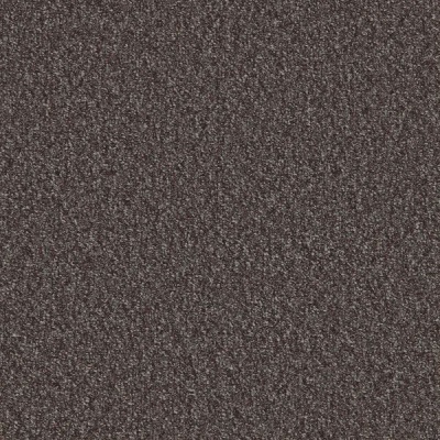 Furlong Flooring Mojave Loop Carpet - Heather