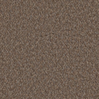 Furlong Flooring Mojave Loop Carpet - Cappuccino