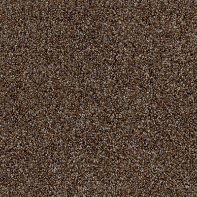 Furlong Flooring Iona Twist Carpet - Goarse