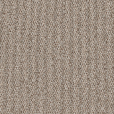 Furlong Flooring Gobi Budget Loop Carpet