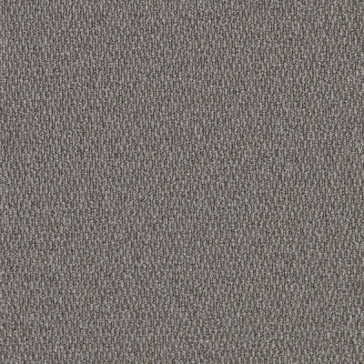 Furlong Flooring Gobi Budget Loop Carpet - Lynx