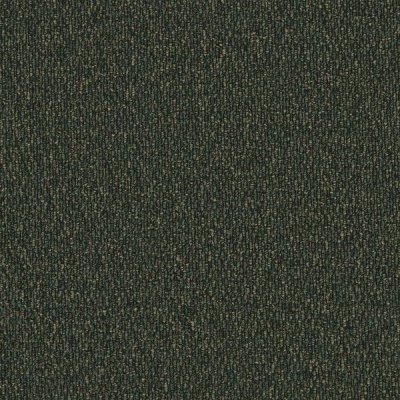 Furlong Flooring Gobi Budget Loop Carpet - Palm