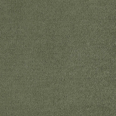 Lano SmartStrand Lior - Forever Clean Carpet - Ivy