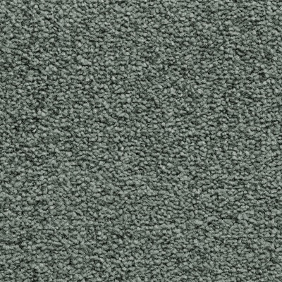 Everyroom Baywood Twist Bleach Cleanable Carpet - Meadow