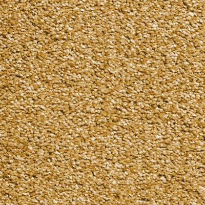 Everyroom Baywood Twist Bleach Cleanable Carpet