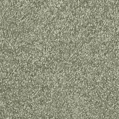 Lifestyle Floors Belle Luxury Twist Carpet - Sage