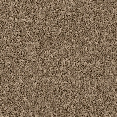 Lifestyle Floors Ellsworth Elite Twist Bleach Cleanable Carpet - 4m