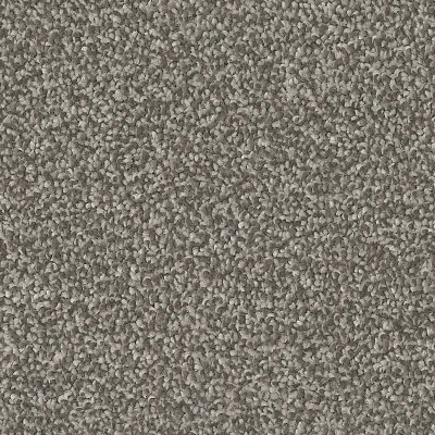 Lifestyle Floors Ellsworth Super Twist Bleach Cleanable Carpet