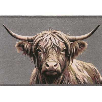 Brown Highland Cow Washable Eco-Friendly Door Mat (75cm x 50cm)