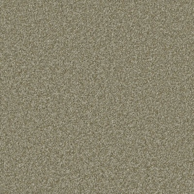 Furlong Flooring Woodland Tailored Twist Carpet - Lichen Grove