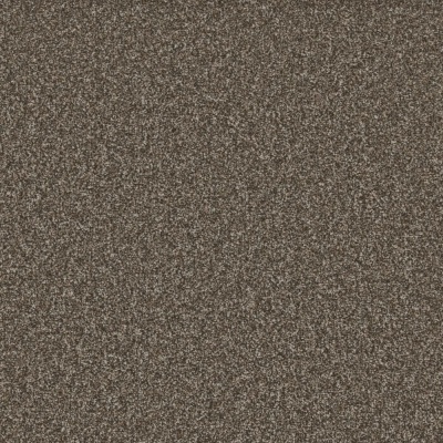 Furlong Flooring Woodland Supreme Tailored Twist Carpet - Ash Root