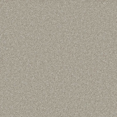 Furlong Flooring Woodland Supreme Tailored Twist Carpet - Frost Fern