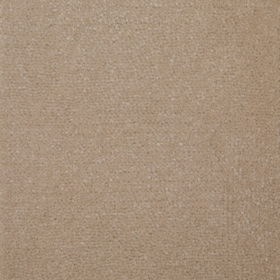 Lifestyle Floors Ludlow Twist Bleach Cleanable Carpet - Shropshire