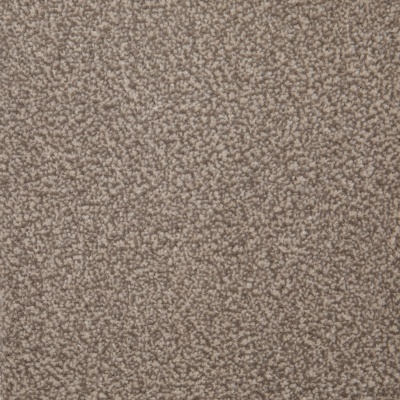 Lifestyle Floors Ludlow Twist Bleach Cleanable Carpet - Berrington Hall