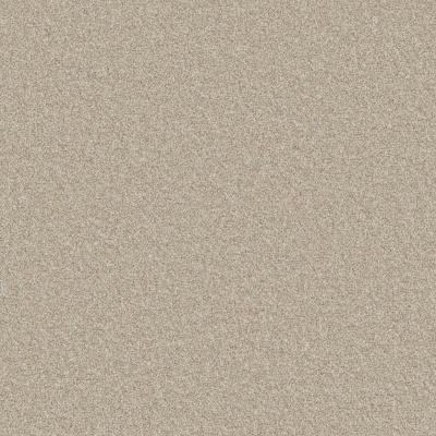 Furlong Flooring Trident Heathers Luxury Twist Carpet