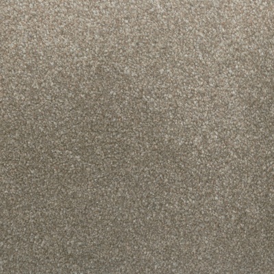Everyroom Kronos Twist Carpet - Cookie