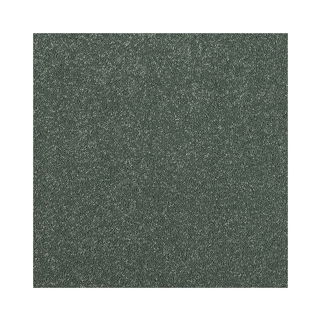 Abingdon Flooring Stainfree Maximus Bleach Cleanable Luxury Carpet