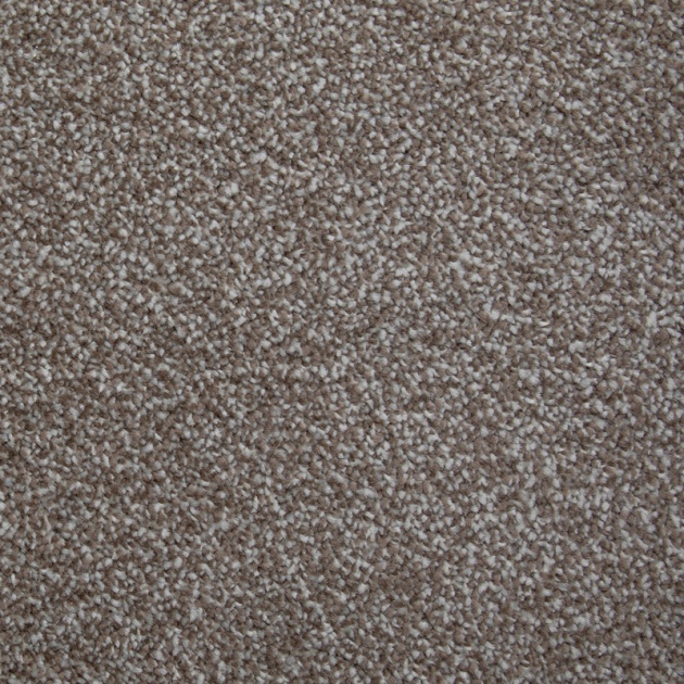 Lifestyle Floors Literature Elite Luxury Bleach Cleanable Carpet