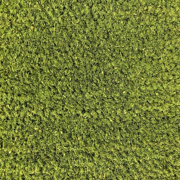 Forest Green Natural Premium Coir Matting (1m & 2m Wide)