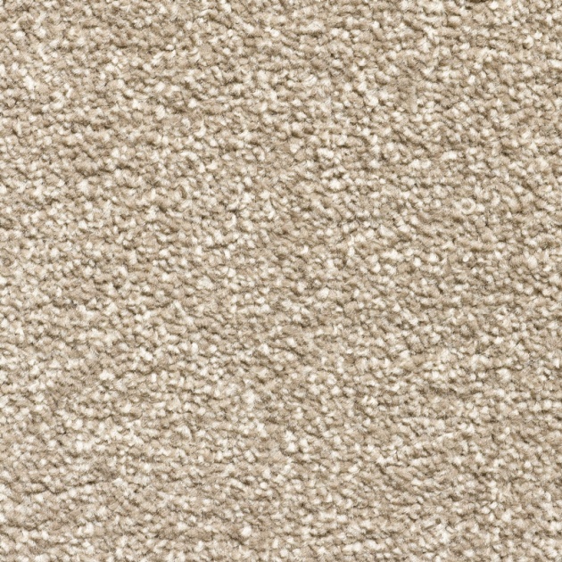 Everyroom Alaska Twist Carpet