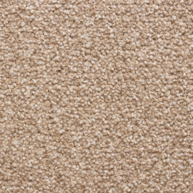 Everyroom Cedar Falls Twist Carpet