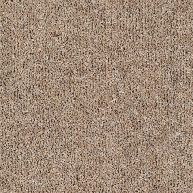 Everyroom Fairbourne 80/20 Twist Wool Carpet