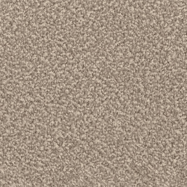 Everyroom Penmarsh Twist Carpet