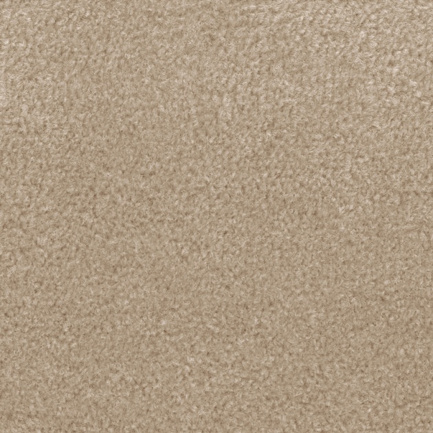 Everyroom Whitesands Twist Budget Carpet