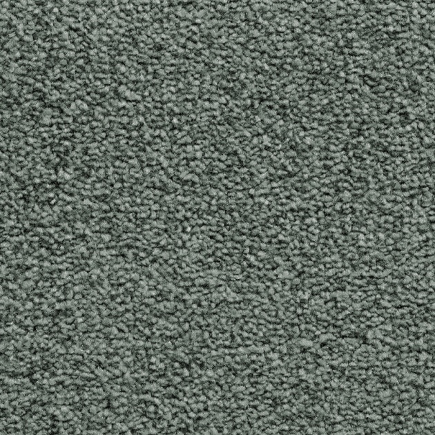 Everyroom Baywood Twist Bleach Cleanable Carpet