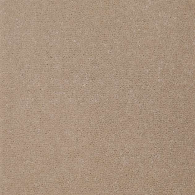 Lifestyle Floors Ludlow Twist Bleach Cleanable Carpet