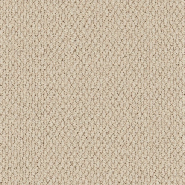 Luxury Textures Loop Carpet by Remland