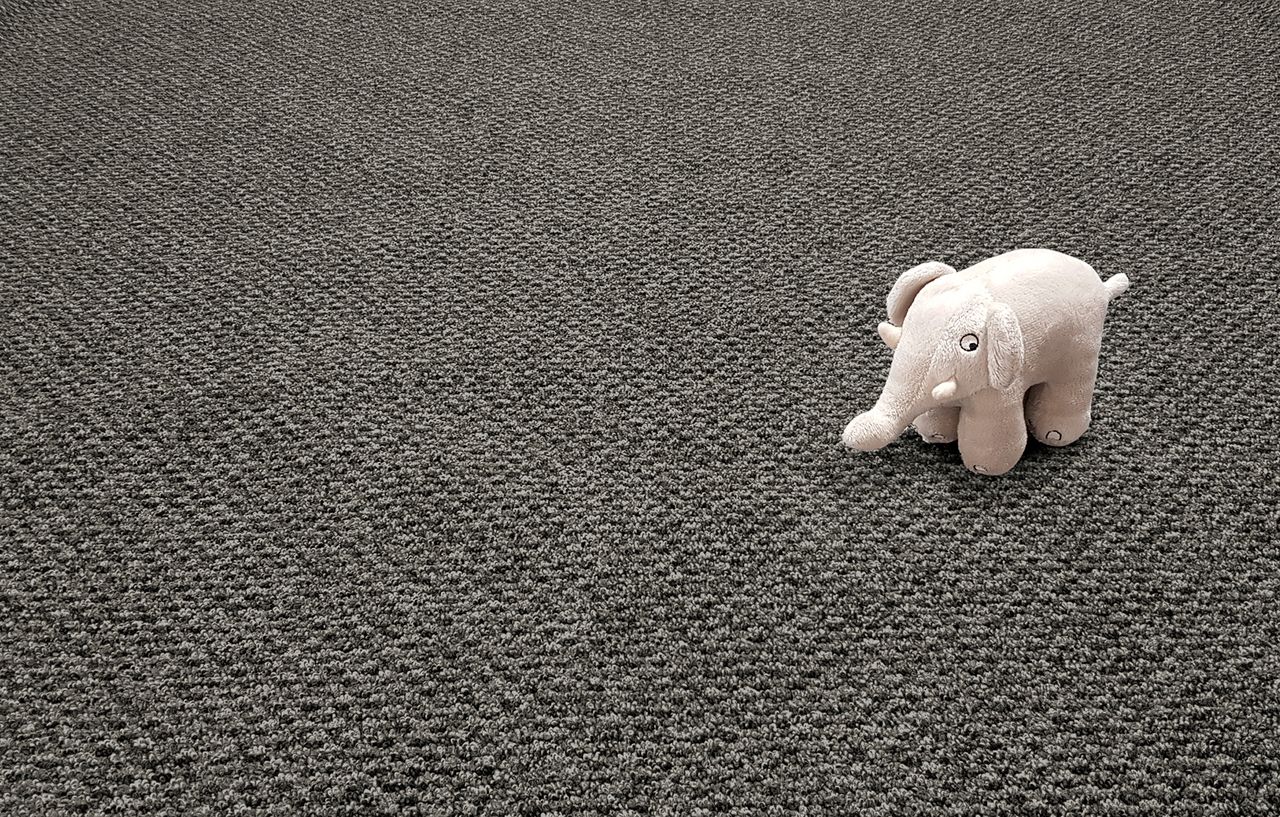 Furlong Flooring Dakar Bleach Cleanable Carpet From £5.95 / sq. metre